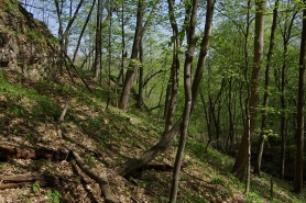 Coulee Landscape