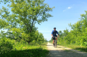 Biker on Trail