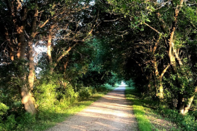 Glacial Drumlin State Trail