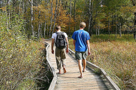 Boardwalk Over Marsh
