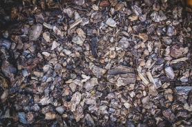 Mulch.