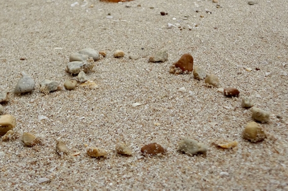 Lovin the Shore by Ashley Ripp