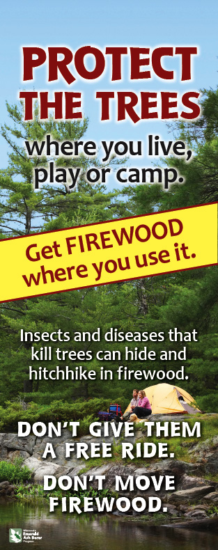 Protect the trees